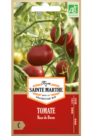 Graines de Tomate Rose de Berne BIO