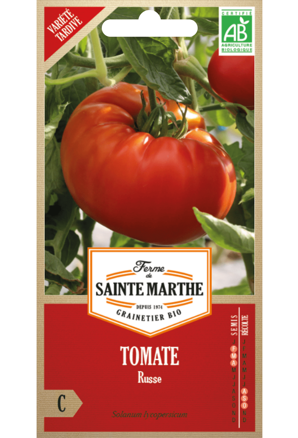 Graines de Tomate Russe BIO (variété précoce)