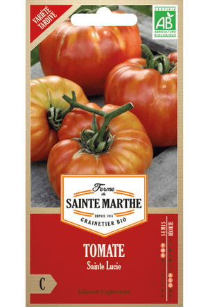 Tomatensamen Sainte Lucie BIO (frühe Sorte)