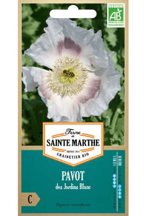 GRAINES BIO Pavot blanc