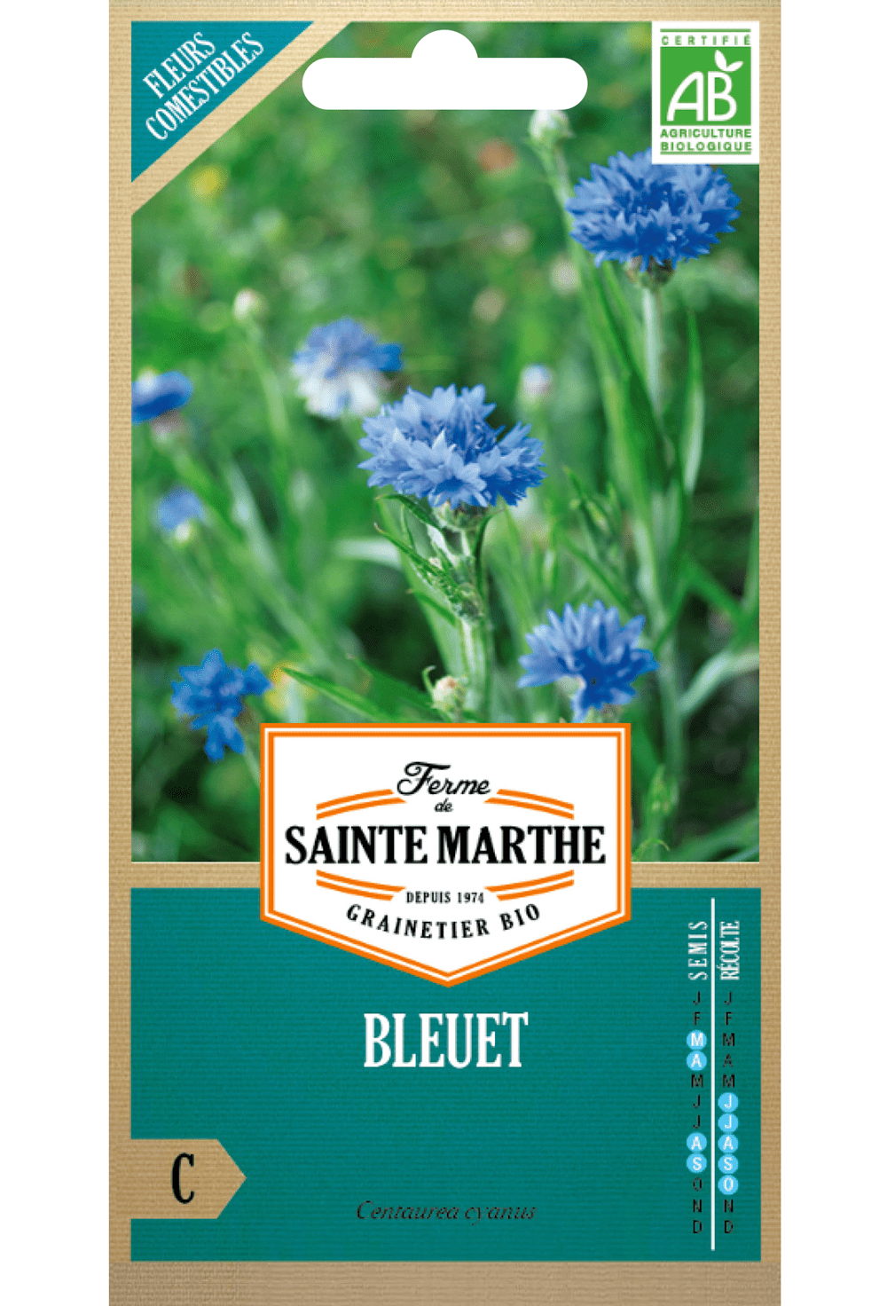 Graines de Bleuet (Centaurea cyanus) BIO