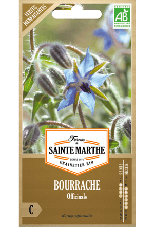 Graines BIO de concombre aux herbes