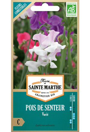 Pois de senteur (Lathyrus) mélangés GRAINES BIOLOGIQUES