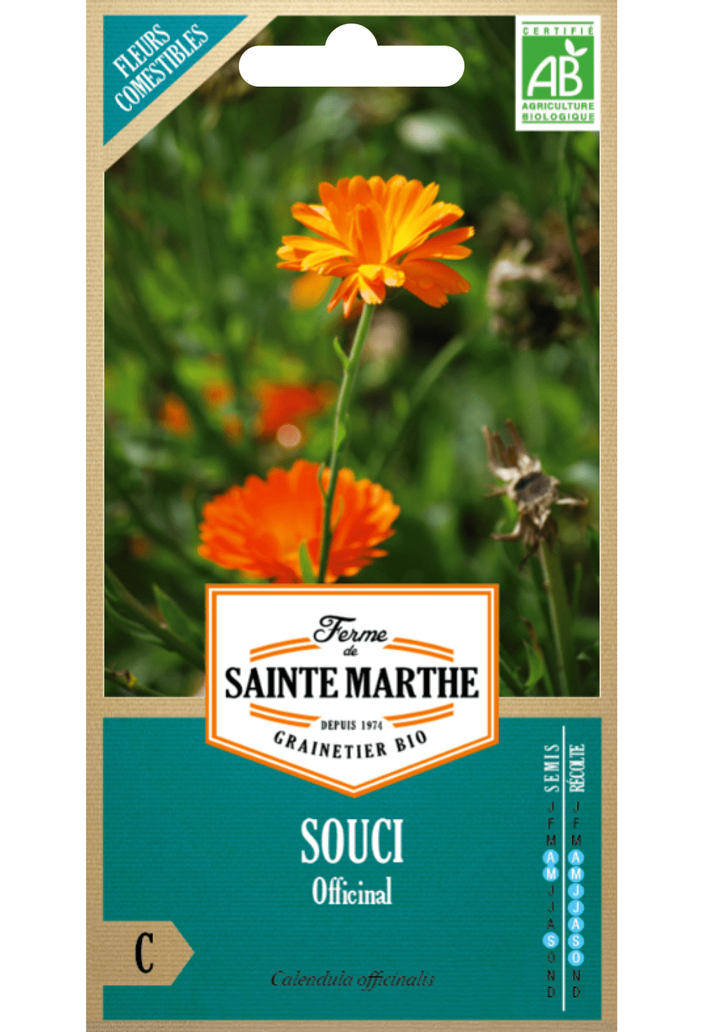 Souci (Calendula officinalis) GRAINES BIO