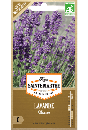 Lavendula officinalis BIO zaden