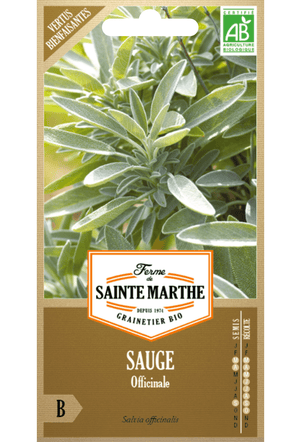 Graines de Sauge officinale BIO