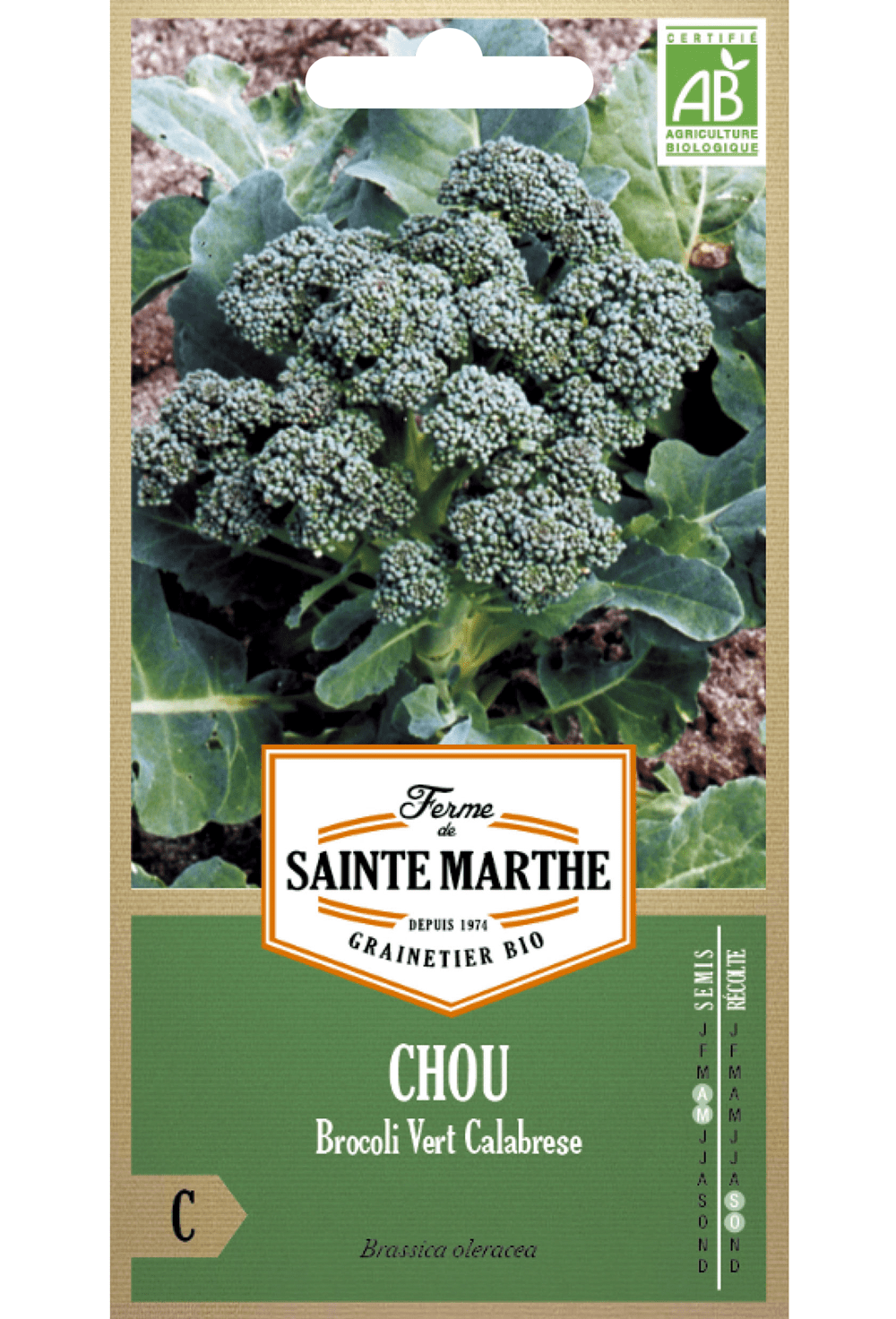 Broccoli  'Calabrese Natalino' BIO zaden