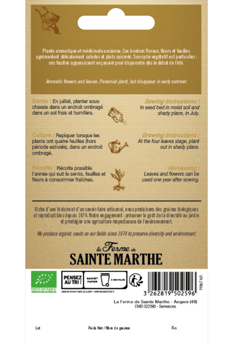 Graines d'ail sauvage BIO