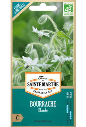 Herbe de concombre blanc (bourrache officinalis bianca) graines BIO