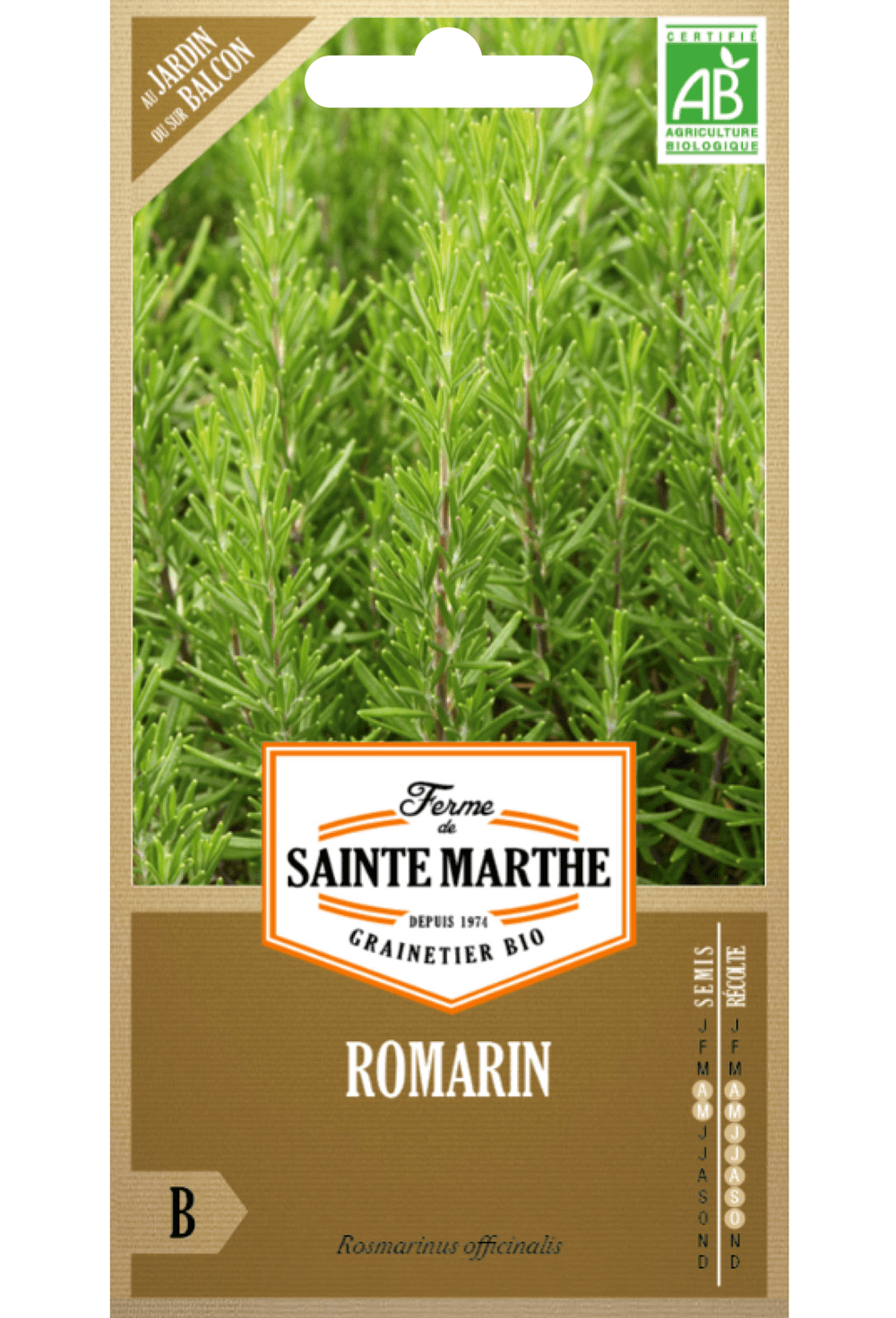 Graines de Romarin BIO