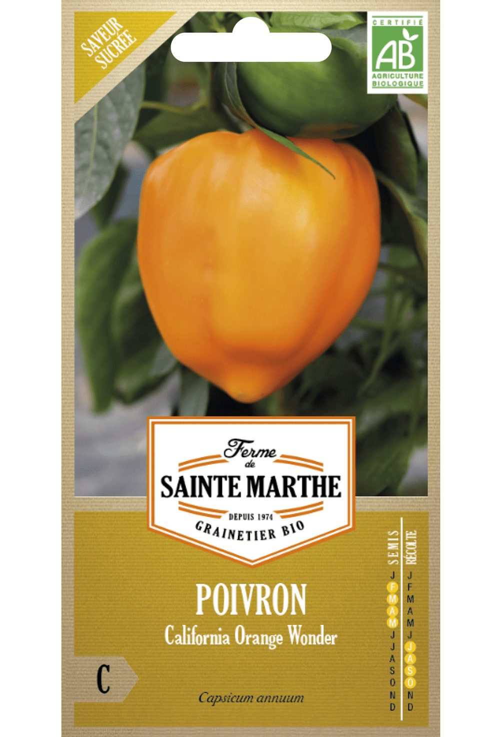 Paprika 'California Orange Wonder' Bio-Samen