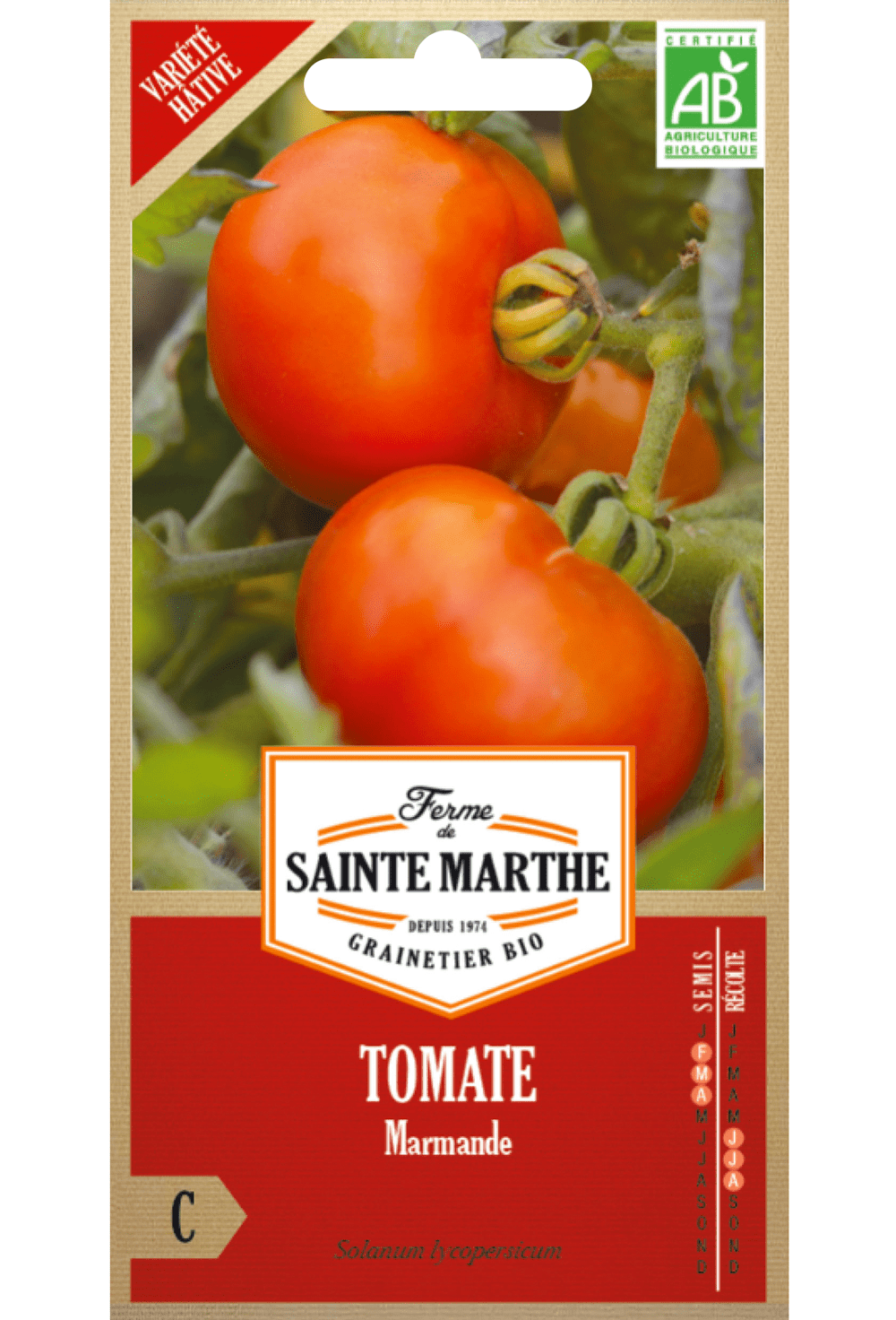 Tomaten-Marmande-BIO-Samen (frühe Sorte)