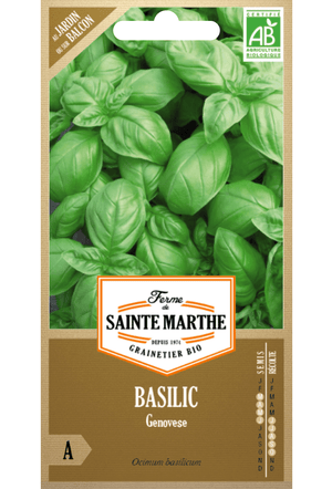 Basilicum Genovese BIO zaden