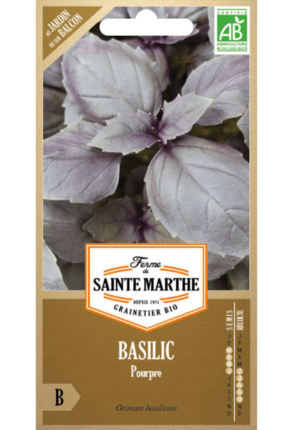 Graines de basilic rouge BIO