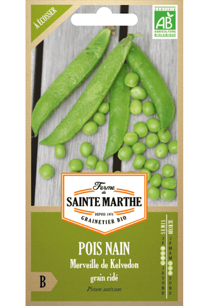 Petit pois 'Merveille de Kelvedon' (à graines froissées) 10 g Graines Bio