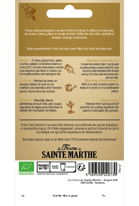 Graines de Menthe poivrée BIO