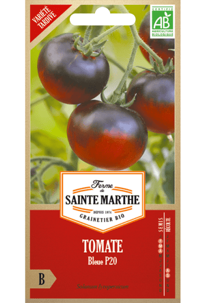 Graines de Tomate 'Bleue P20' BIO (variété précoce)