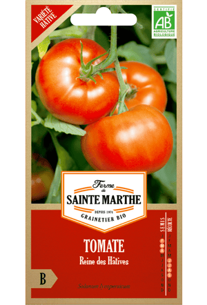 Tomatensamen Reine des Hâtives BIO (frühe Sorte)