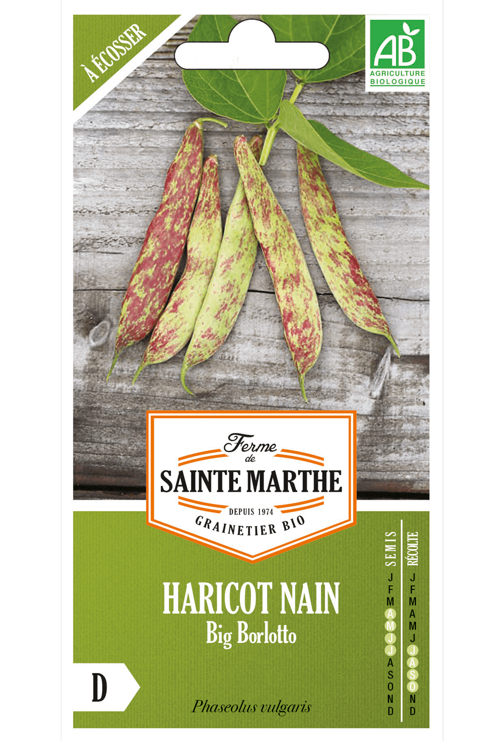 Haricot d'Espagne Borlotto Firetongue 80 g Graines BIO