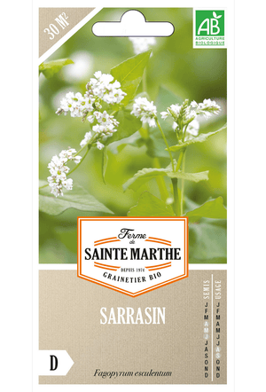 Sarrasin (Fagopyrum cymosum) - pour 30 m² Graines BIO