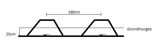 Aspergeberm