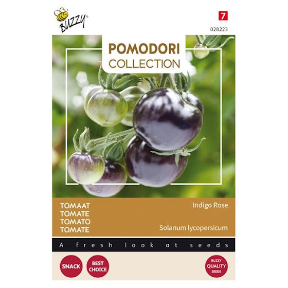 Buzzy Pomodori Tomate Indigorosa (schwarz) - Inhalt: 8 Samen