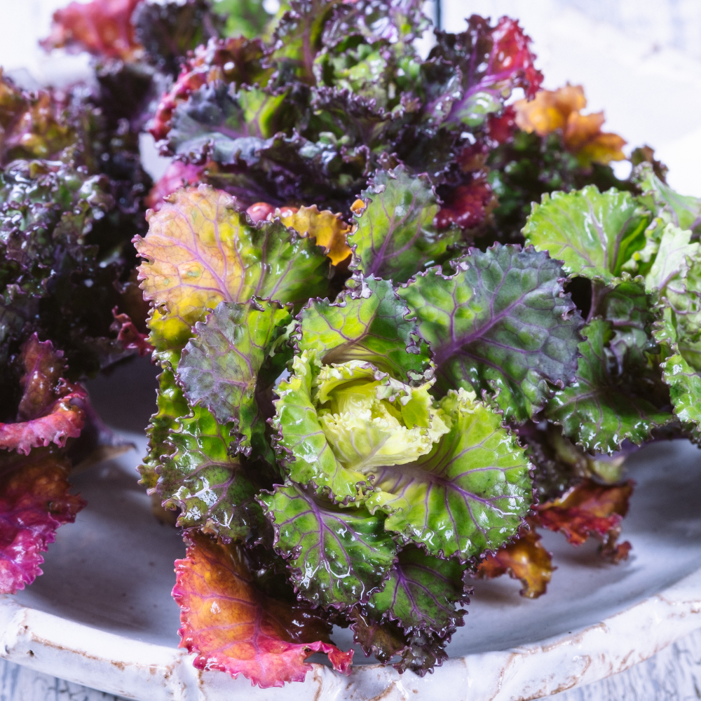 Kalettes or Brussels sprouts 5 pieces BIO