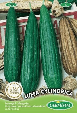 Sponge Cucumber, Loofah, Luffa Cylindrica: cont. 3 grams – PLUKKERS