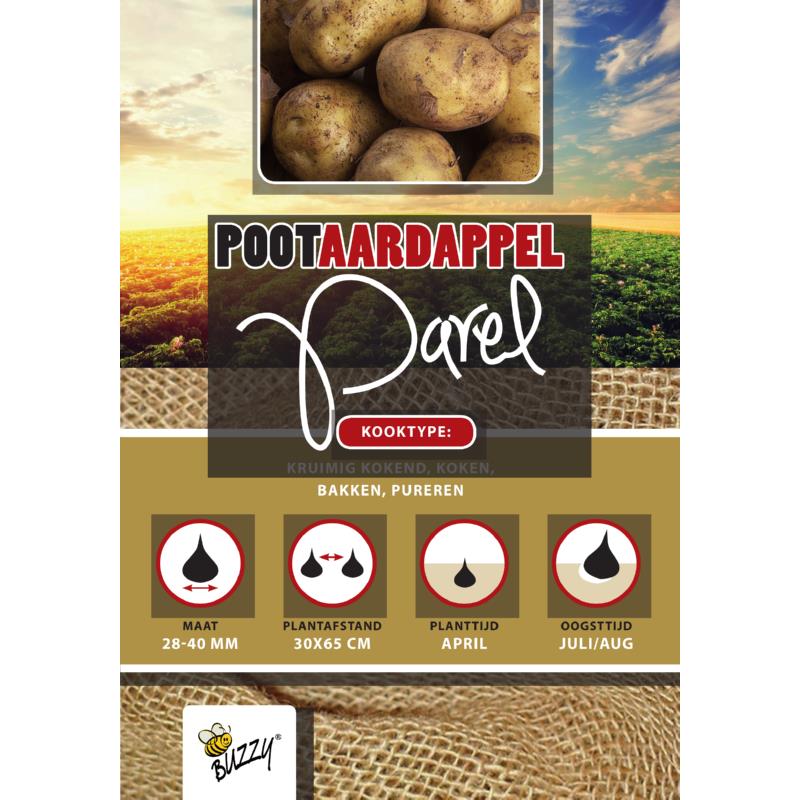 Semences de pomme de terre Pearl 28/35 précoces (choisir la quantité)