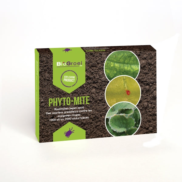 Spint bestrijden Phyto-mite 2000