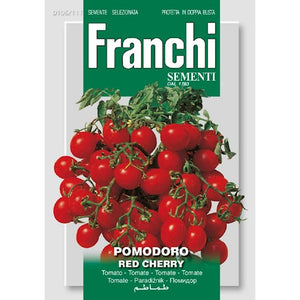 Topftomate. Pomodoro-Rotkirsche 106/111 (Franchi)