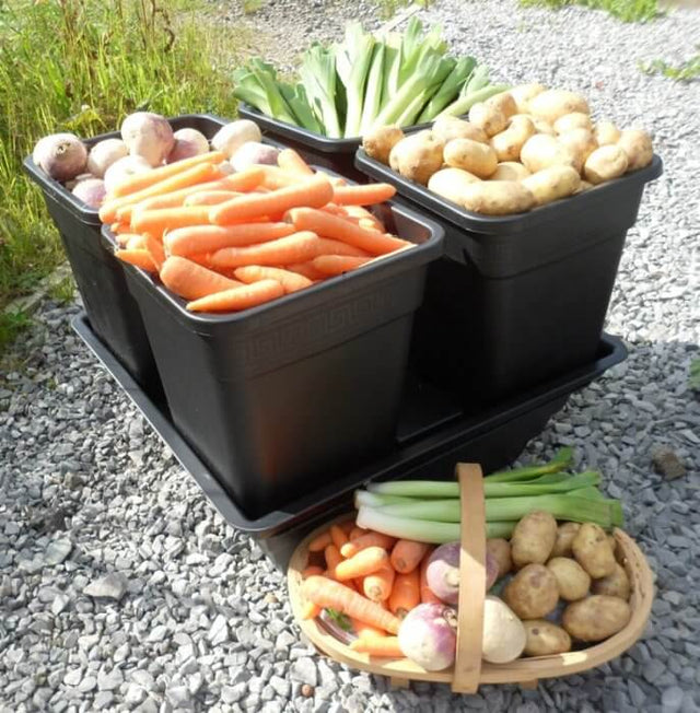 Quad Grow Root Veg - Slimme kweekbakken voor knolgewassen met watersysteem