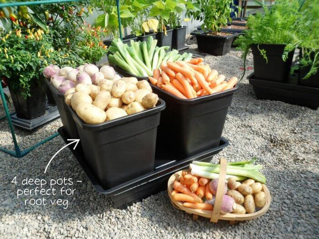 Quad Grow Root Veg - Slimme kweekbakken voor knolgewassen met watersysteem