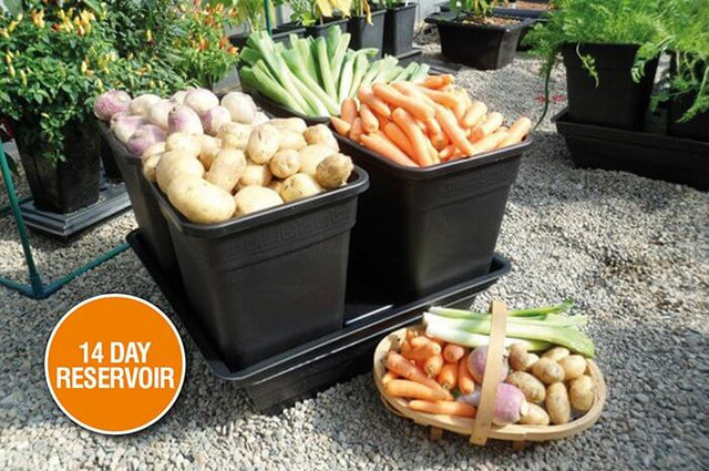 Quad Grow Root Veg - Slimme kweekbakken voor knolgewassen met watersysteem