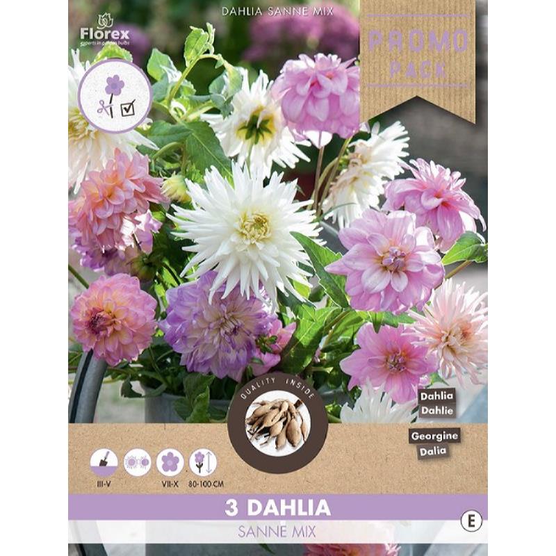 Dahlia Decoratief Sanne mix 3st.