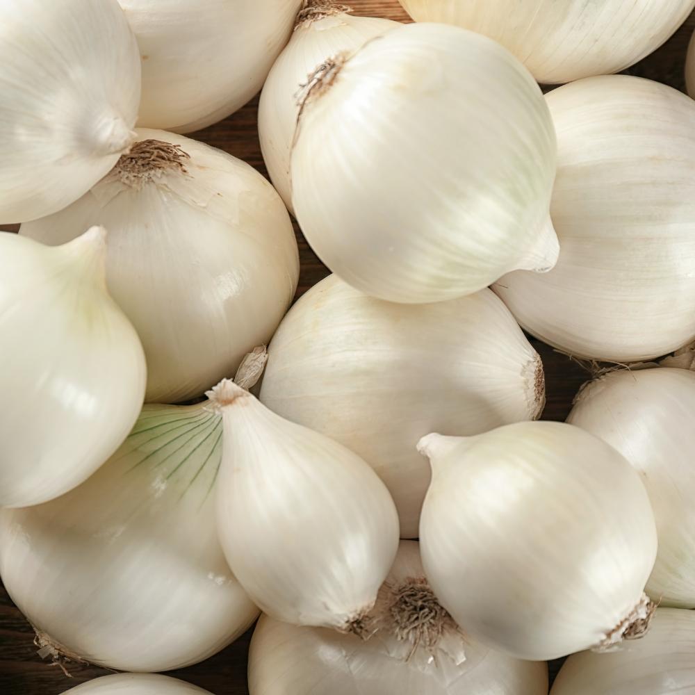 Plant onion 'Snowball' (choose weight) 