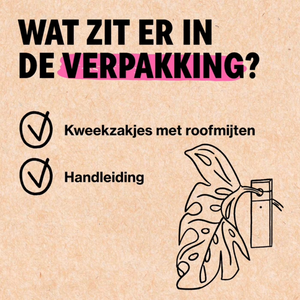 Spintmijten bestrijden met Soni-mite