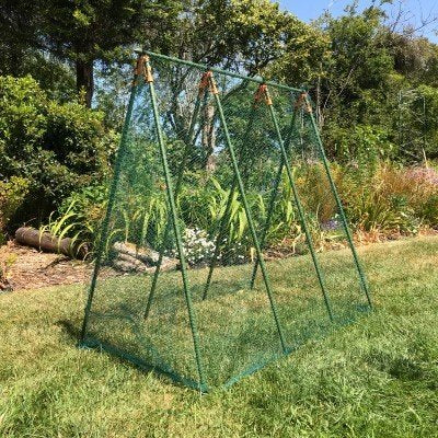 Cadre de support robuste Pea Master' pour pois et plantes grimpantes (1,2 m x 1,2 m x 0,75 m de large)