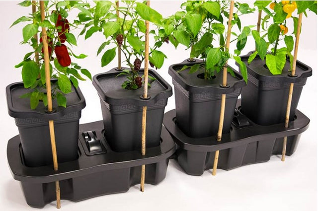 Quadgrow mulch cover en stokkenhouder kit