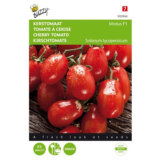 Buzzy Tomatoes Modus F1 – ca. 10 Samen