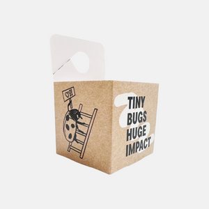 Boîtes de lâcher d'insectes utiles - 5 pièces