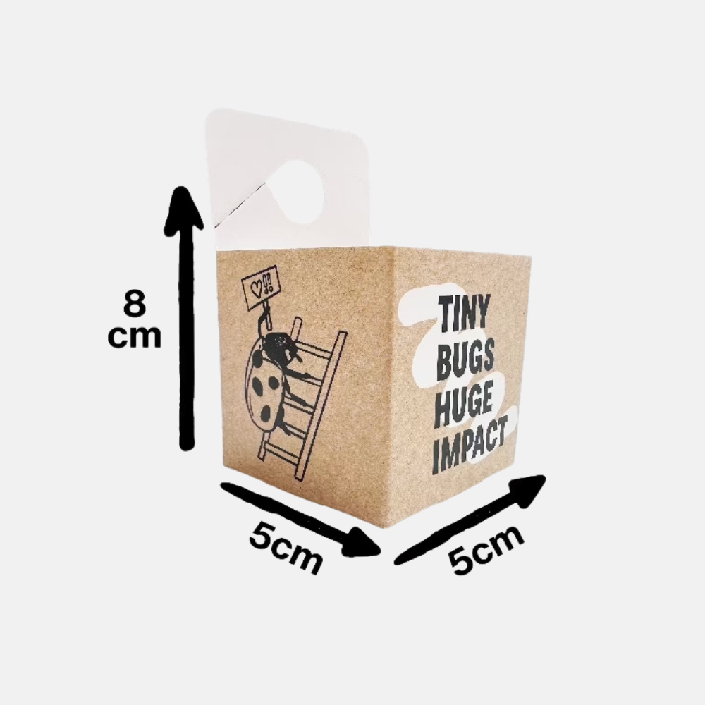 Boîtes de lâcher d'insectes utiles - 5 pièces