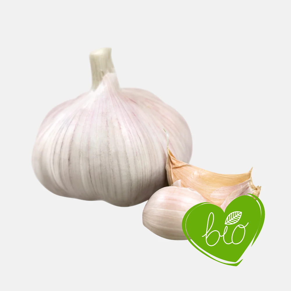 Plantknoflook wit/roze 'Vallelado' (hardneck) BIO - 3 bollen