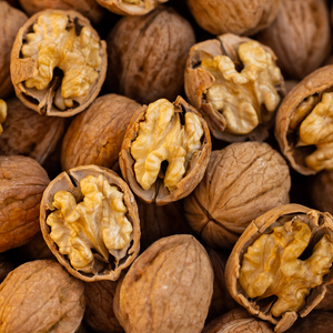 Walnut tree - walnut