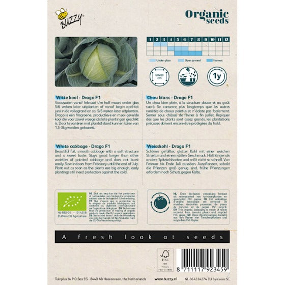 Buzzy Organic Witte Kool Drago F1 (BIO) - inh.: 25 zaden