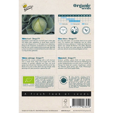 Buzzy Organic Witte Kool Drago F1 (BIO) - contenu : 25 graines