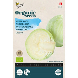 Buzzy Organic Witte Kool Drago F1 (BIO) - contenu : 25 graines