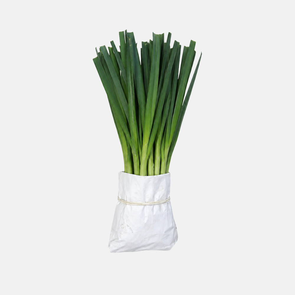 Plants de poireaux d'été 25 pièces BIO